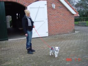 ik lijk wel klein maar........